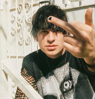 Stans :Billie Eilish Colby Brock Falling in Reverse Jake Webber Justin Bieber Kris Collins LaurenzSide Matchbox Twenty MCR (My Chemical Romance) Miley Cyrus Panic! At The Disco Sam Golbach Tara Yummy